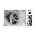 Rose B postage