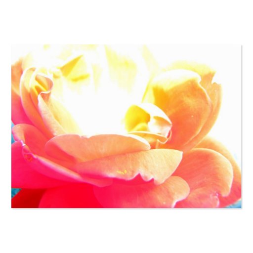 Rose background business card (back side)