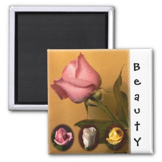 Rose - Beauty -Magnet magnet