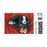 Rose bed - Large Postage