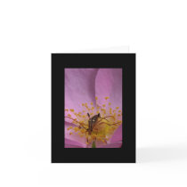 Rose Beetle Note Card