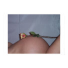 postcard - 