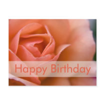 Rose Birthday Postcard | Geburtstagskarte Rose