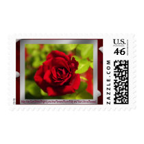 Rose Blessings postage