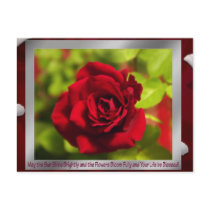 Rose Blessings postcards by Daylily_Dreams_Photo Rose Blessings postcards