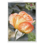 ROSE BLUSH cards