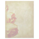 Rose Border Letterhead