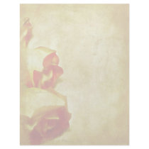 Rose Border Letterhead