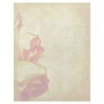 Rose Border Letterhead