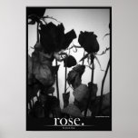rose [border] posters