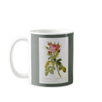 Rose Botanical Print - 'Rosa Bifera' by  Redoute Mugs