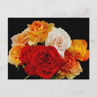 Rose Bouquet Postcards