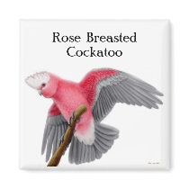 Rose Breasted Cockatoo Magnet by twopurringcats Rose Breasted Cockatoo Magnet
