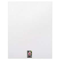 Rose Breasted Cockatoo photograph design Custom Letterhead