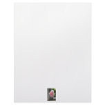 Rose Breasted Cockatoo photograph design Custom Letterhead