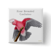 Rose Breasted Cockatoo Pin buttons by twopurringcats Rose Breasted Cockatoo Pin buttons