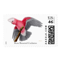 Rose Breasted Cockatoo Postage