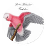 Rose Breasted Cockatoo Sticker