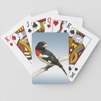 Rose-breasted Grosbeak Bird Playing Cards