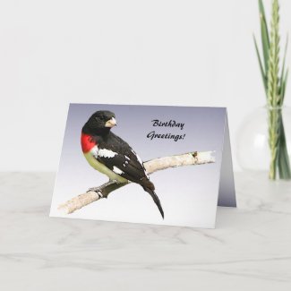 Rose-breasted Grosbeak Birthday Greeting Cards