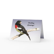 Rose-breasted Grosbeak Birthday Greeting Cards