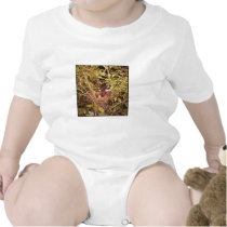 Rose-Breasted Grosbeak Bodysuit