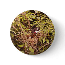 Rose-Breasted Grosbeak Pins