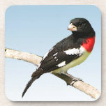 Rose-Breasted Grosbeak cork coasters
