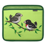 Rose-breasted Grosbeak Couple iPad Sleeve