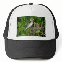 Rose-breasted Grosbeak (female) with young Mesh Hats