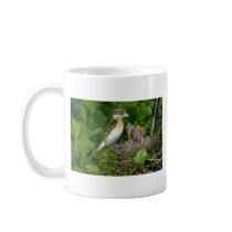 Rose-breasted Grosbeak (female) with young Mug