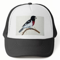 Rose-breasted grosbeak hat