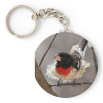 Rose-breasted Grosbeak Key Chain
