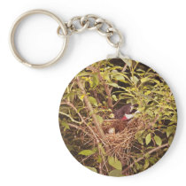 Rose-Breasted Grosbeak Keychain