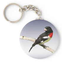 Rose-breasted Grosbeak Key Chain