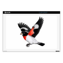 Rose Breasted Grosbeak Laptop Skin