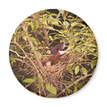 Rose-Breasted Grosbeak Fridge Magnet