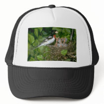 Rose-breasted Grosbeak (male) with young Mesh Hat