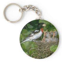Rose-breasted Grosbeak (male) with young Keychain