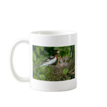 Rose-breasted Grosbeak (male) with young Coffee Mugs