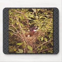 Rose-Breasted Grosbeak Mousepads