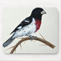 Rose-breasted grosbeak mouse pads