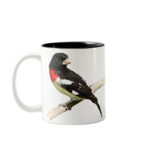 Rose-breasted Grosbeak Mugs