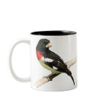 Rose-breasted Grosbeak mugs