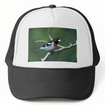 Rose-breasted grosbeak on branch trucker hats
