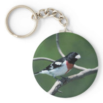 Rose-breasted grosbeak on branch key chains