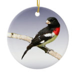 Rose-breasted Grosbeak ornaments