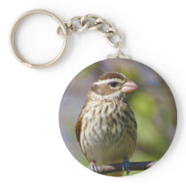 Rose Breasted Grosbeak Pheucticus Ludovicianus Key Chains
