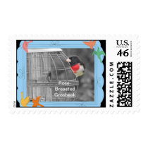 Rose-Breasted Grosbeak Postage Stamp