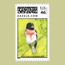 Rose Breasted Grosbeak - Song Bird stamp stamps